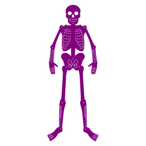 Skeleton parts